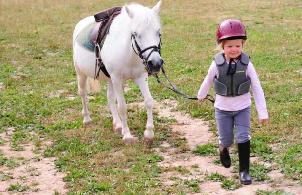 chevillon-colonies-poney