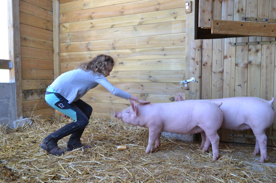 => Colonie de vacances, équitation et animaux de la ferme, ferme pédagogique