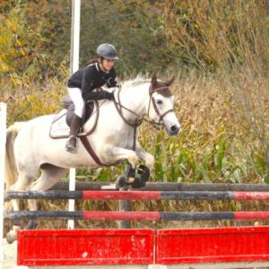 stage équitation intensif, colonie ado 10-16 ans